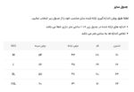 پولوشرت  250101 ZARA ذغالی - Image 5
